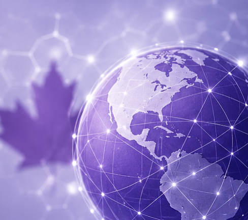 Maple Pharma International contact image